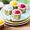 Picard 6 timbales de sorbet, framboise, mangue, citron* Sorbets