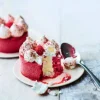Picard 2 vacherins vanille-framboise* Desserts Glacés Individuels|Desserts Glacés À Partager