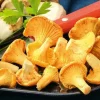 Picard Girolles* Produits Nutri-Score A|Champignons