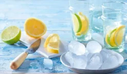 Picard Glaçons alimentaires* Glaçons Alimentaires|Glaçons