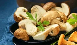 Picard Jeunes cèpes coupés* Produits Nutri-Score A|Champignons
